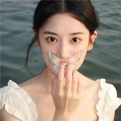 小马的山村日记